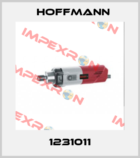 1231011 Hoffmann
