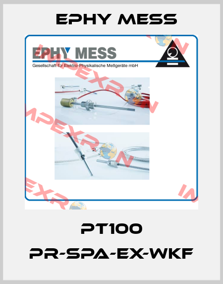 PT100 PR-SPA-EX-WKF Ephy Mess