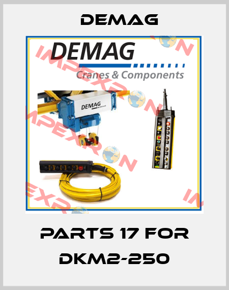 Parts 17 for DKM2-250 Demag