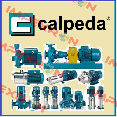 B-NM 4025/B-60/C Calpeda