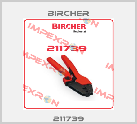 211739 Bircher