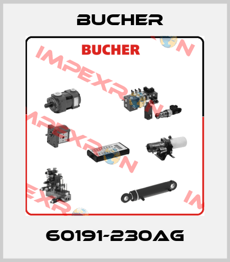 60191-230AG Bucher