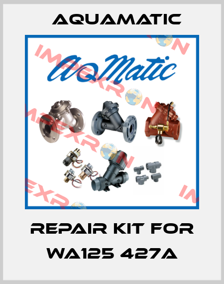 repair kit for WA125 427A AquaMatic