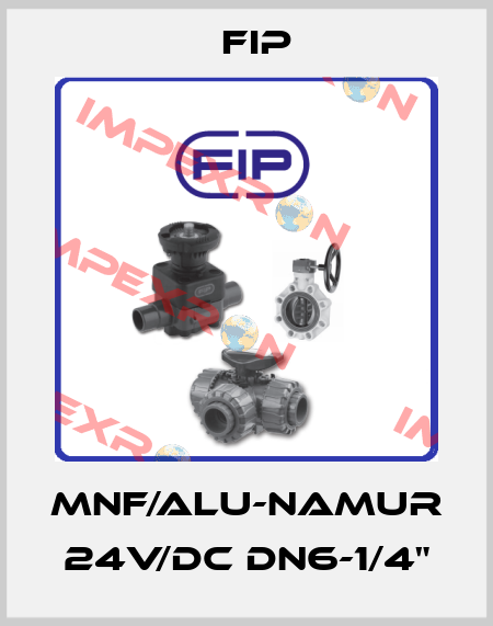 MNF/ALU-NAMUR 24V/DC DN6-1/4" Fip