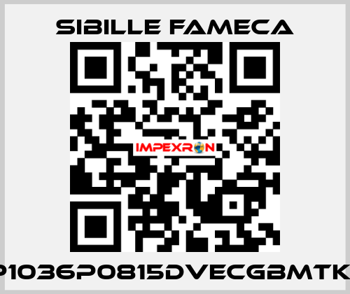 VDP1036P0815DVECGBMTKRI1T Sibille Fameca