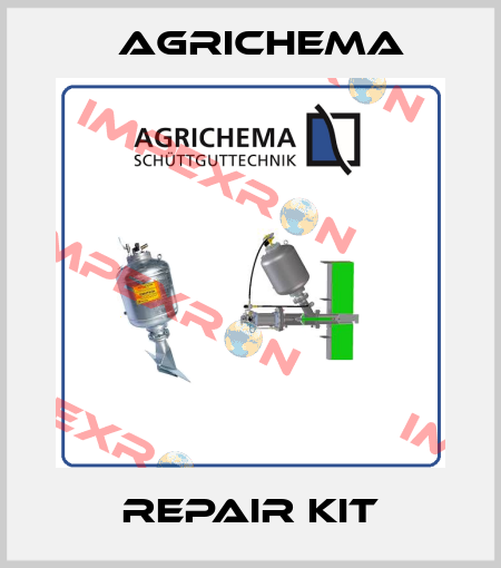 Repair kit Agrichema