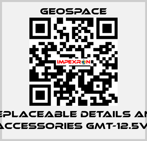REPLACEABLE DETAILS AND ACCESSORIES GMT-12.5V  GeoSpace