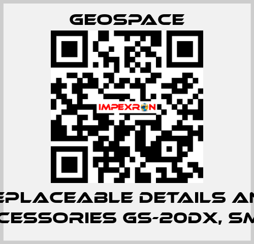 REPLACEABLE DETAILS AND ACCESSORIES GS-20DX, SM-4  GeoSpace
