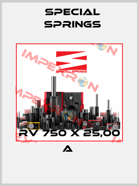 RV 750 X 25,00 A  Special Springs