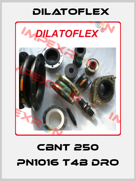 CBNT 250 PN1016 T4B DRO DILATOFLEX