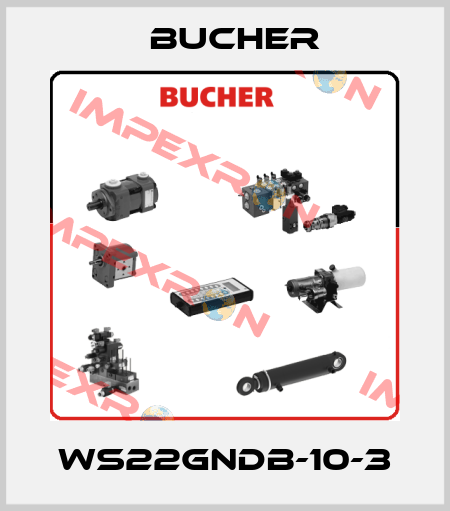 WS22GNDB-10-3 Bucher
