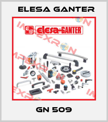 GN 509 Elesa Ganter