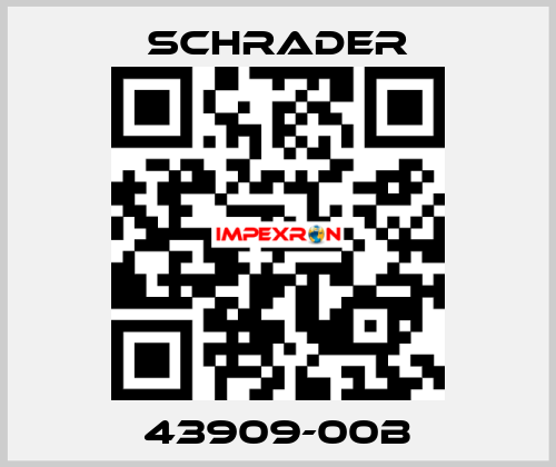 43909-00B Schrader