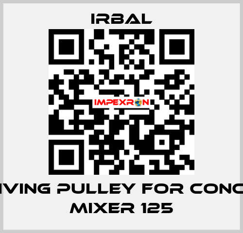 receiving pulley for Concrete mixer 125 irbal