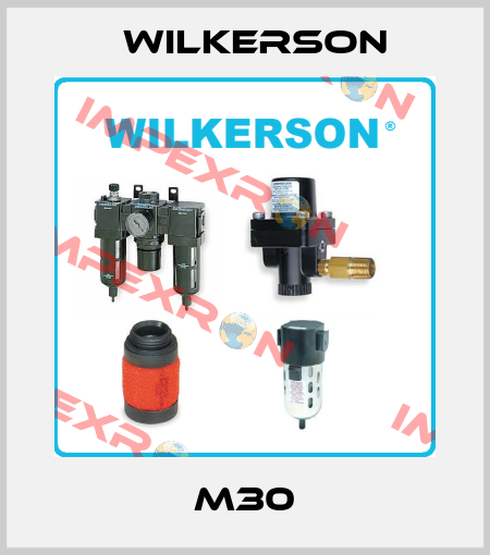 M30 Wilkerson
