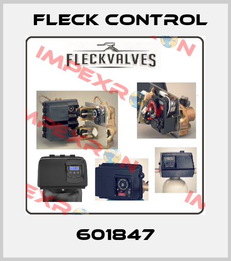 601847 Fleck Control