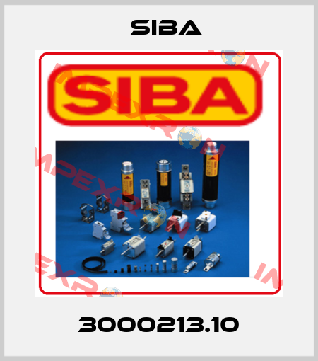 3000213.10 Siba