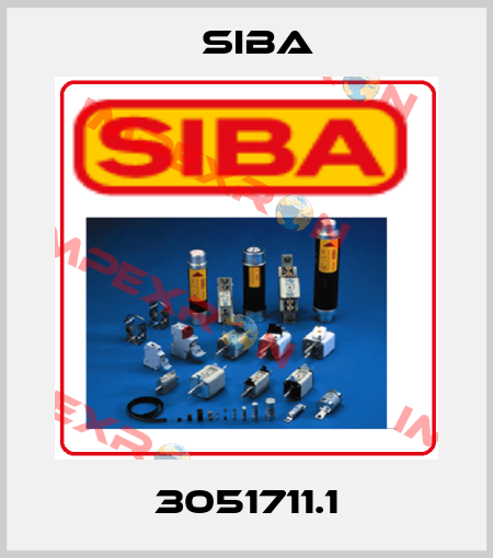 3051711.1 Siba