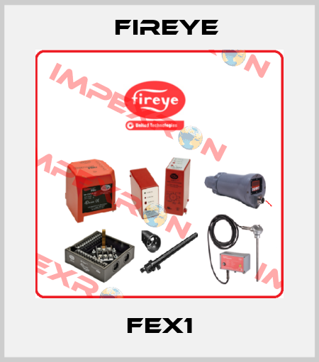 FEX1 Fireye