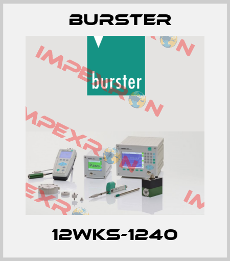 12WKS-1240 Burster