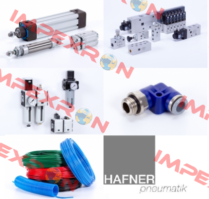 BH320401 Hafner