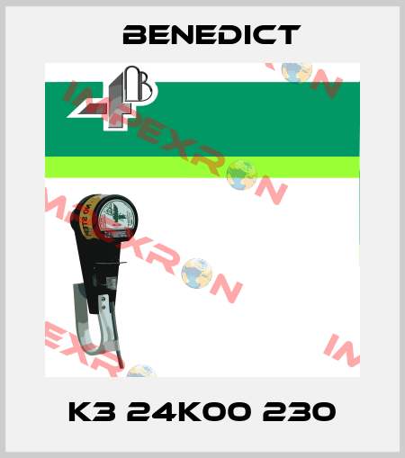 K3 24K00 230 Benedict