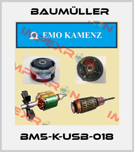 BM5-K-USB-018 Baumüller