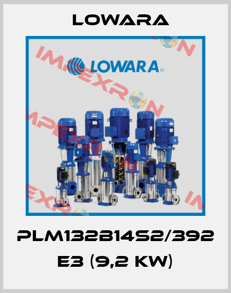PLM132B14S2/392 E3 (9,2 kW) Lowara
