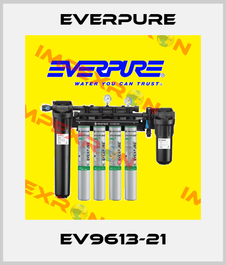 EV9613-21 Everpure