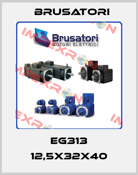 EG313 12,5X32X40 Brusatori