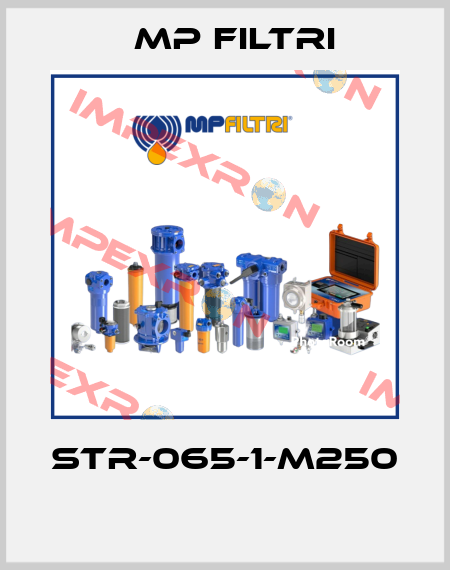 STR-065-1-M250  MP Filtri