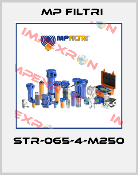 STR-065-4-M250  MP Filtri