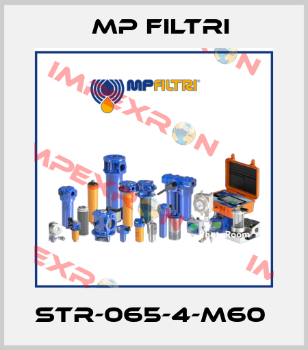 STR-065-4-M60  MP Filtri