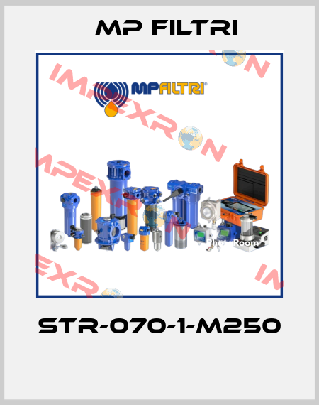 STR-070-1-M250  MP Filtri
