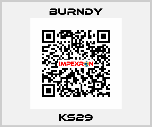 KS29 Burndy