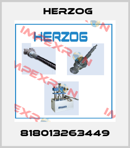 8-1801-326344-9 Herzog