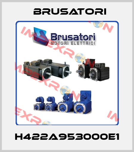 H422A953000E1 Brusatori