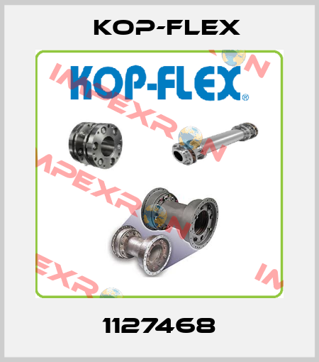 1127468 Kop-Flex
