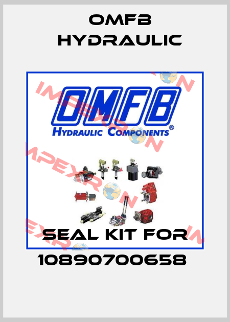 Seal kit for 10890700658  OMFB Hydraulic