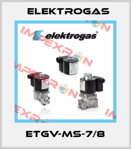 ETGV-MS-7/8 Elektrogas