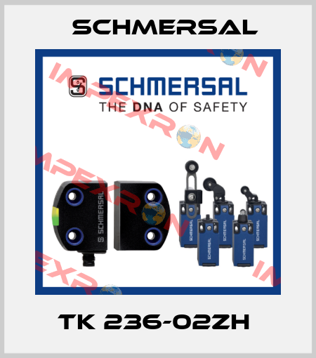 TK 236-02ZH  Schmersal