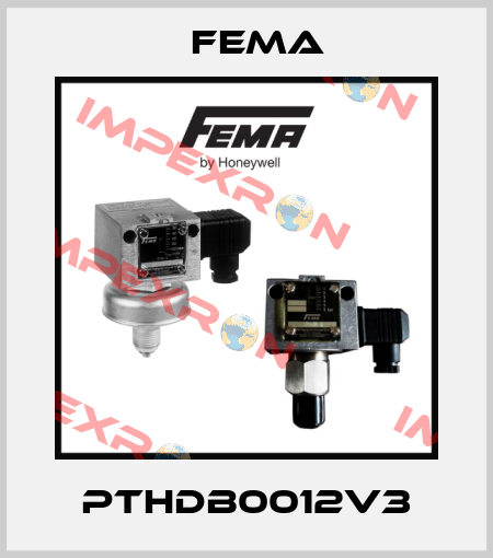 PTHDB0012V3 FEMA