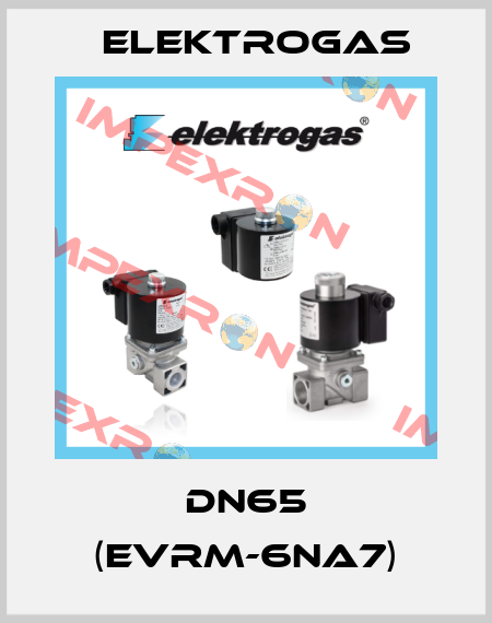 DN65 (EVRM-6NA7) Elektrogas
