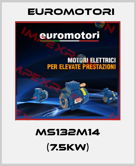 MS132M14 (7.5kW) Euromotori