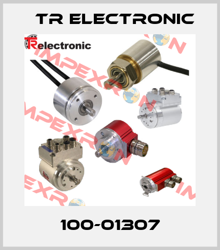 100-01307 TR Electronic