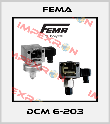 DCM 6-203 FEMA