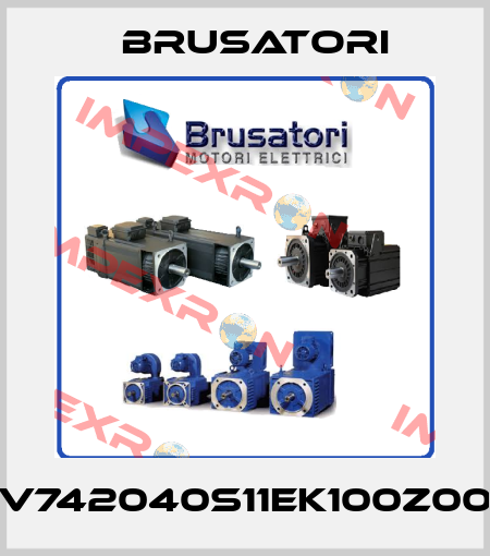 V742040S11EK100Z00 Brusatori