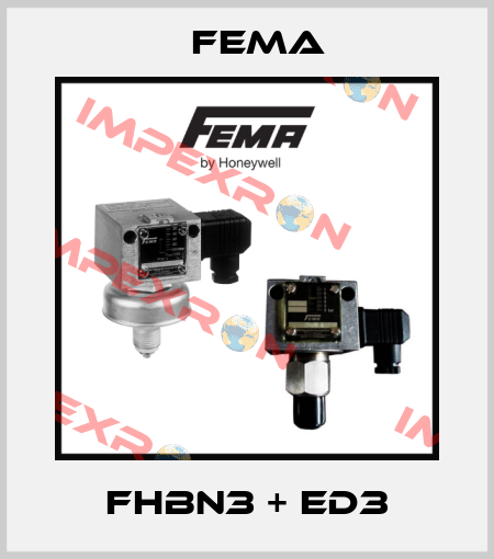 FHBN3 + ED3 FEMA