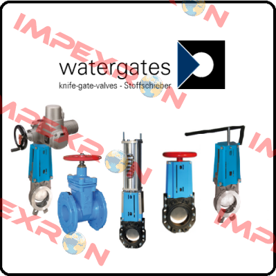 seat ring for WGE-GG-NBR-150/MW Watergates