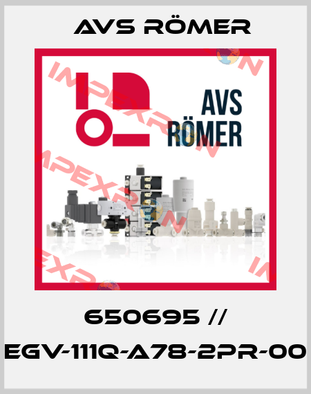 650695 // EGV-111Q-A78-2PR-00 Avs Römer